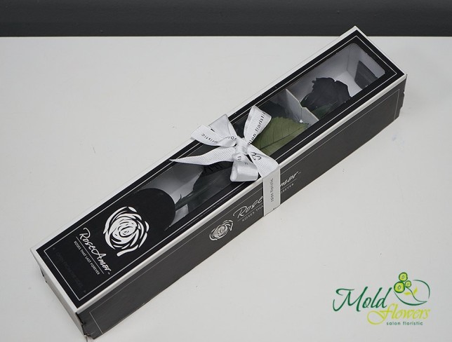 Стабилизированная чёрная роза в коробке Фото